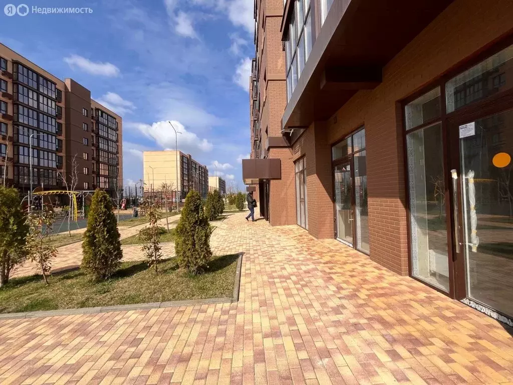 Помещение свободного назначения (46.3 м) - Фото 2