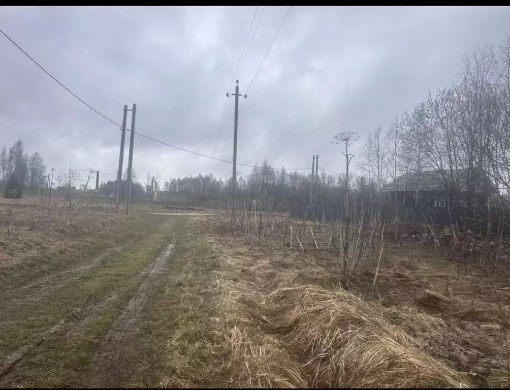 Участок в Московская область, Рузский муниципальный округ, д. ... - Фото 2