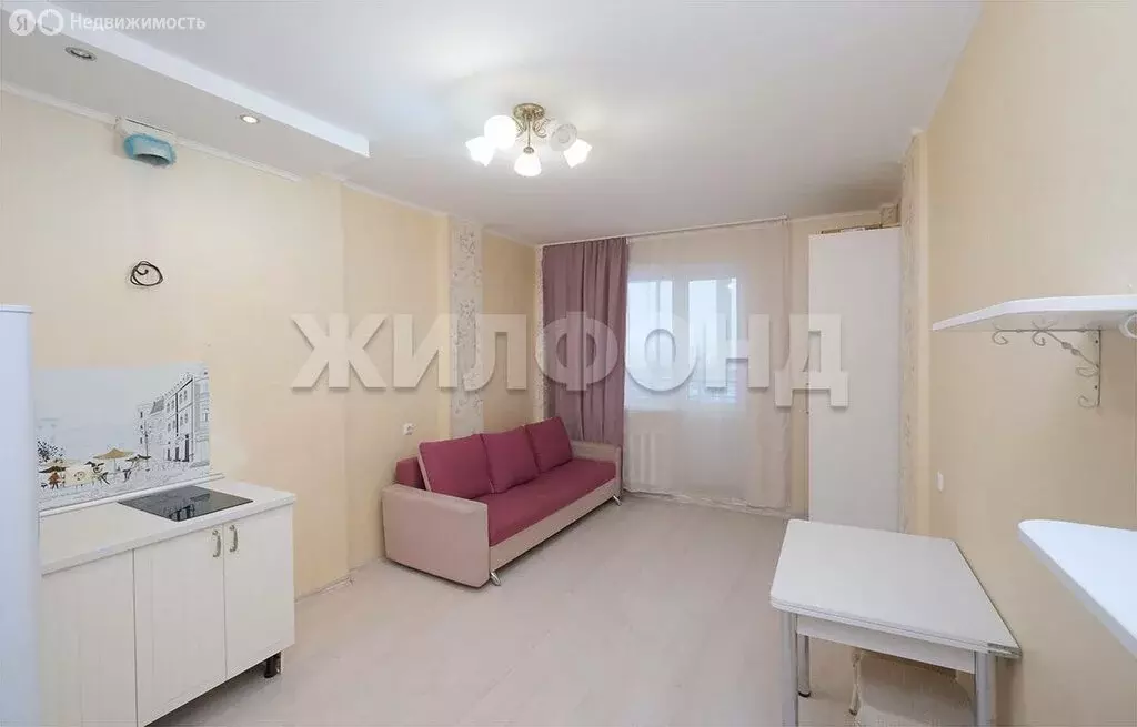 Квартира-студия: Новосибирск, улица Костычева, 74/1 (23.9 м) - Фото 2