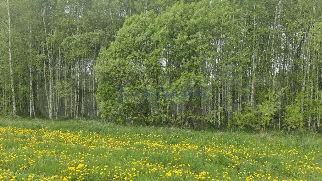 Участок 82 сот. (СНТ, ДНП) - Фото 0