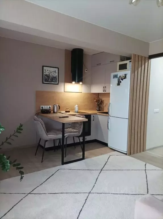 Студия Омская область, Омск Мельничная ул., 87к3 (29.0 м) - Фото 2