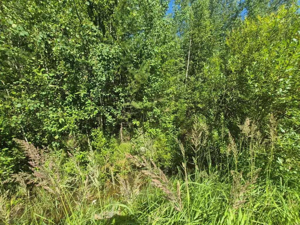 Участок, 10 сот., сельхоз (снт или днп) - Фото 1