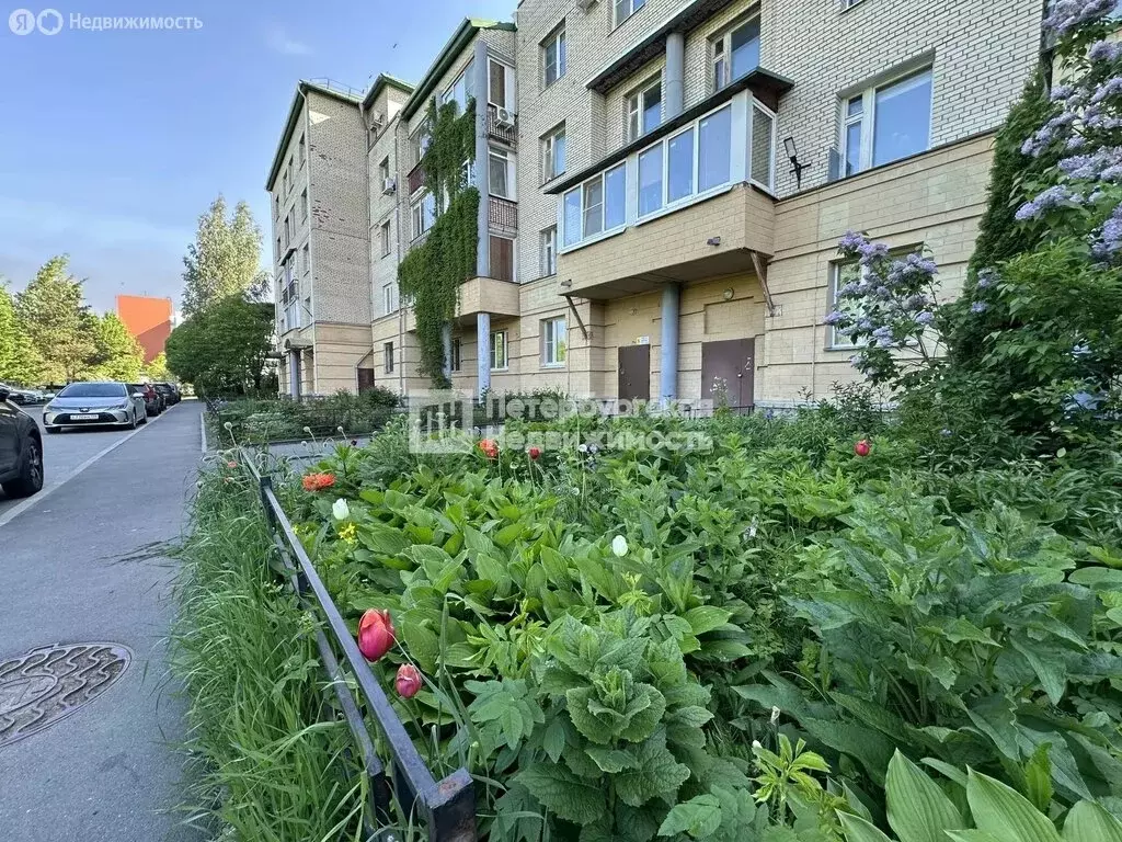 1-комнатная квартира: Пушкин, Петербургское шоссе, 8к1 (36.2 м) - Фото 1