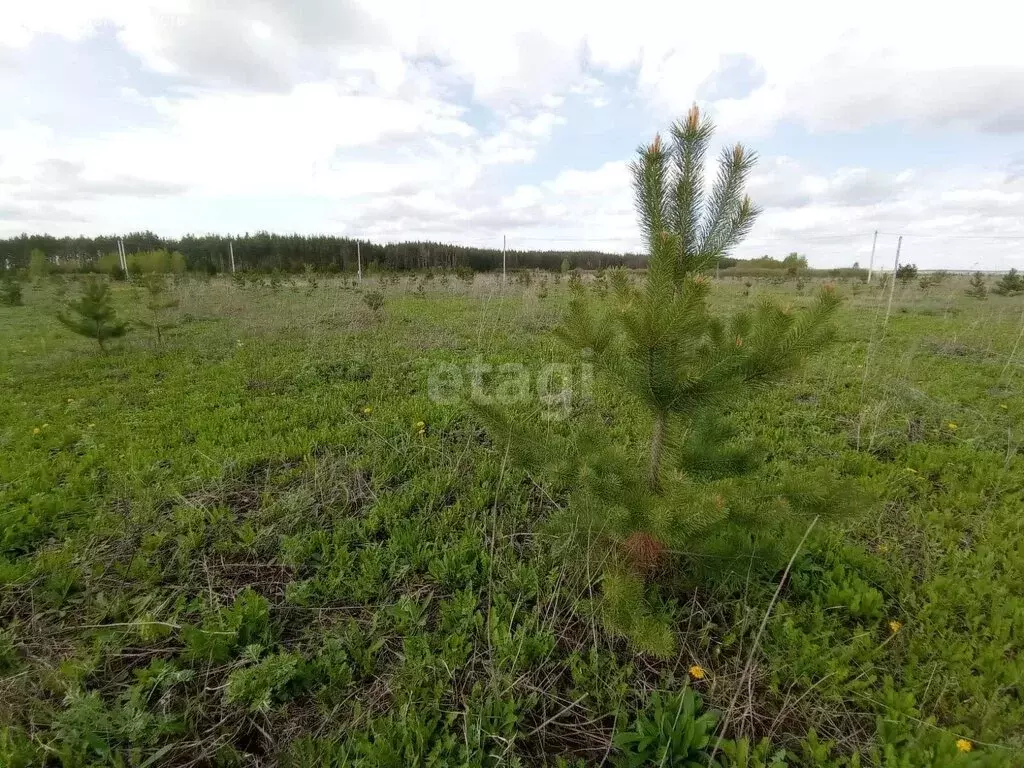 Участок в Тукаевский район, деревня Азьмушкино (8.1 м) - Фото 0