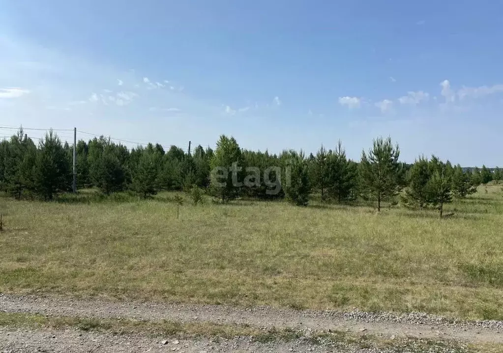 Участок в Челябинская область, Аргаяшский район, Кузнецкое с/пос, пос. ... - Фото 1