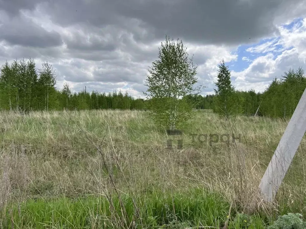 Участок в Челябинская область, Копейский городской округ, пос. ... - Фото 2