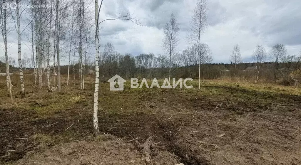 Участок в Всеволожск, улица Николая Брауна (13 м) - Фото 1