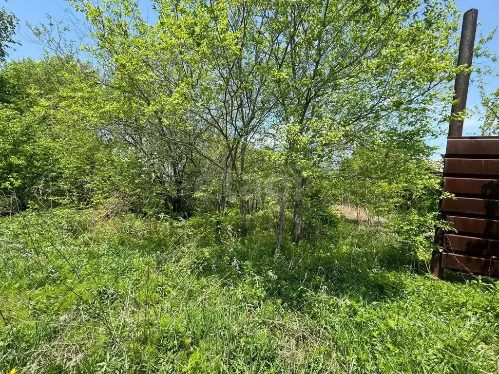 Участок в Приморский край, Артемовский городской округ, с. Кролевцы  ... - Фото 0