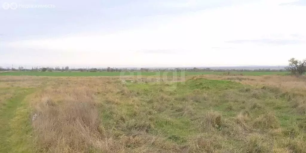 Участок в Приморский, Транспортная улица (497 м) - Фото 1