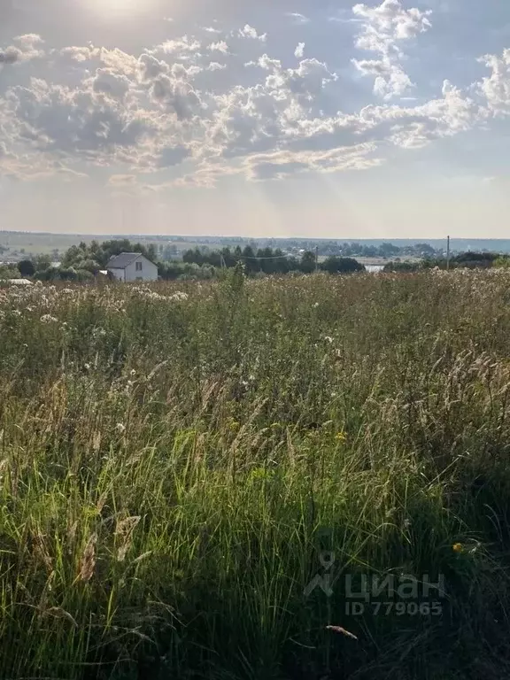 Участок в Владимирская область, Кольчугино муниципальное образование, ... - Фото 1