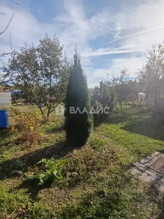 Дом в Владимирская область, Суздальский район, Новоалександровское ... - Фото 2