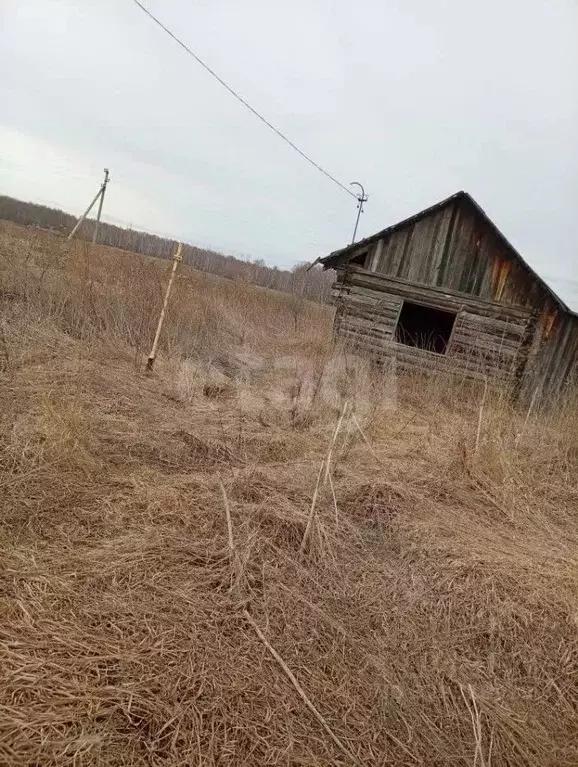 Участок в Свердловская область, Тугулымский муниципальный округ, д. ... - Фото 2