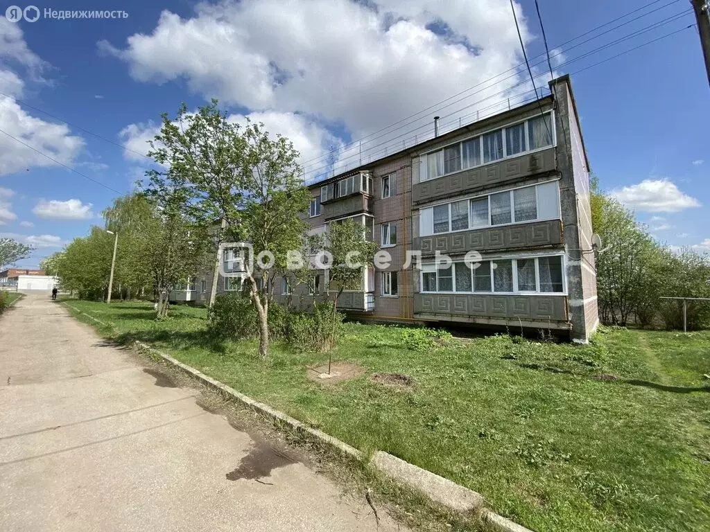 1-комнатная квартира: село Вышетравино, 19 (33 м) - Фото 0