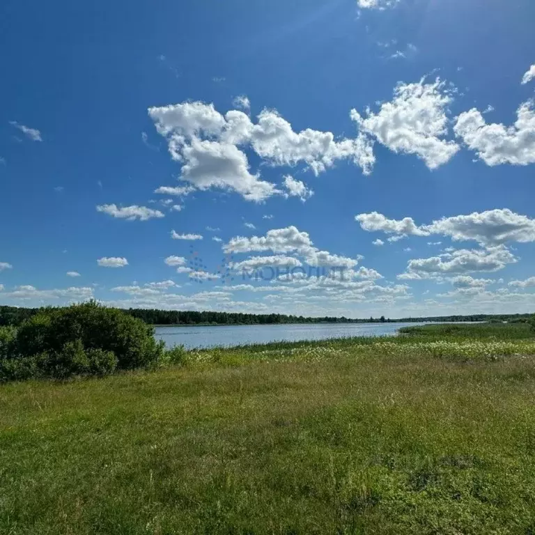 Участок в Нижегородская область, Нижний Новгород д. Афонино, ул. ... - Фото 2