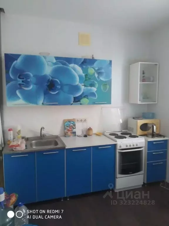 1-к кв. Самарская область, Ставропольский район, с. Подстепки ул. ... - Фото 1