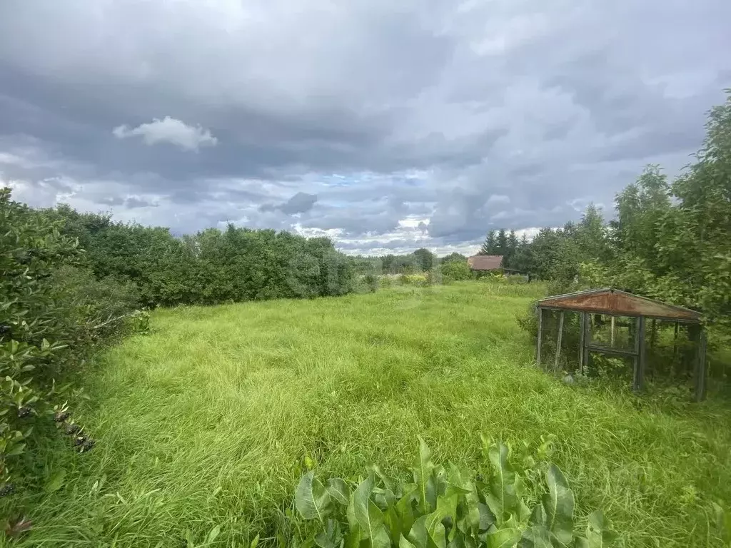 Участок в Вологодская область, д. Княгинино (Подлесный сельсовет)  ... - Фото 2