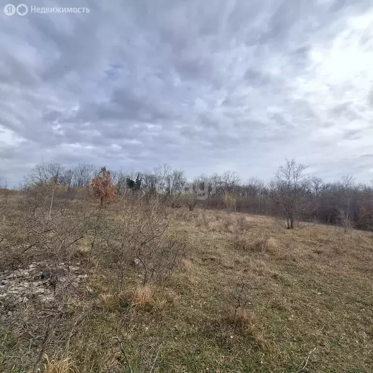 Участок в село Владимировка (8.1 м) - Фото 1