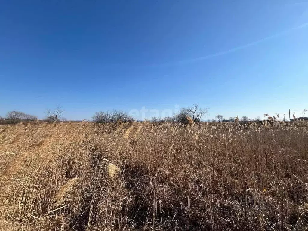 Участок в Приморский край, Надеждинский район, Опережающего ... - Фото 0