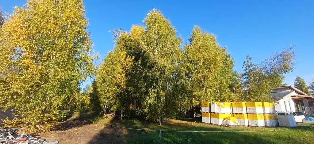 Участок в Алтайский край, Барнаул городской округ, пос. Бельмесево ул. ... - Фото 1