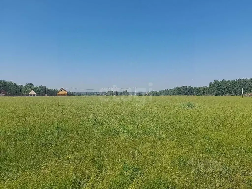 Участок в Новосибирская область, Новосибирский район, Морской ... - Фото 0