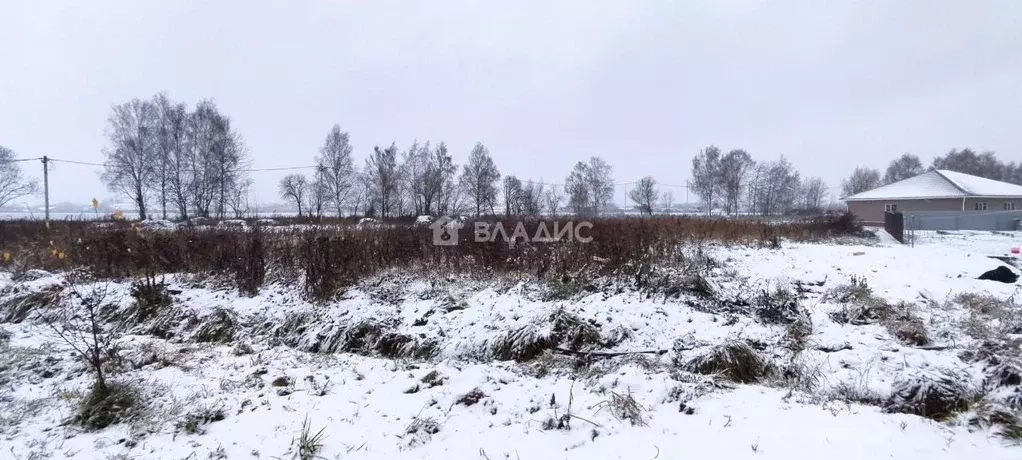 Участок в Владимирская область, Суздальский район, Боголюбовское ... - Фото 0