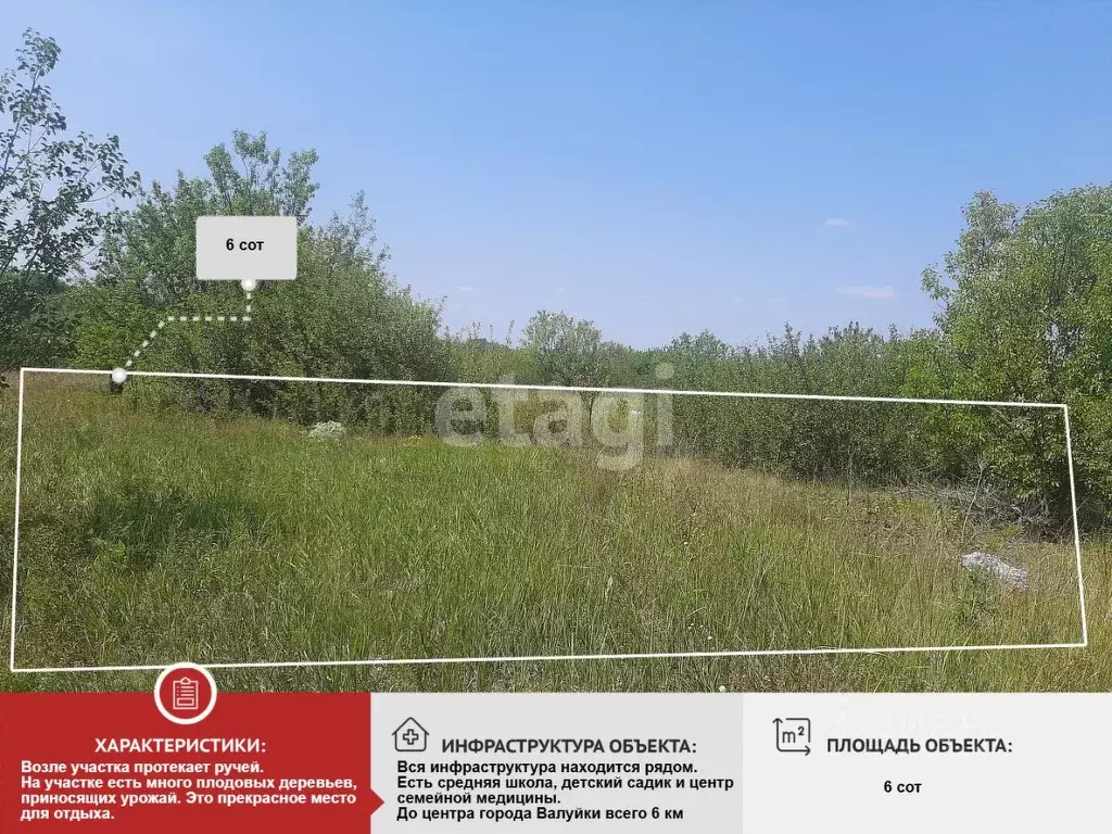 Участок в Белгородская область, Валуйский муниципальный округ, ... - Фото 0