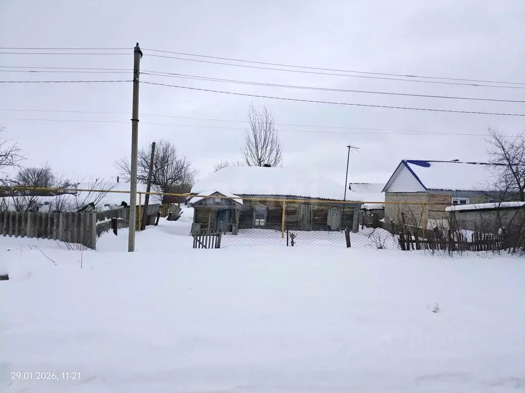 Участок в Воронежская область, Грибановский пгт ул. Народная, 66 (10.0 ... - Фото 2