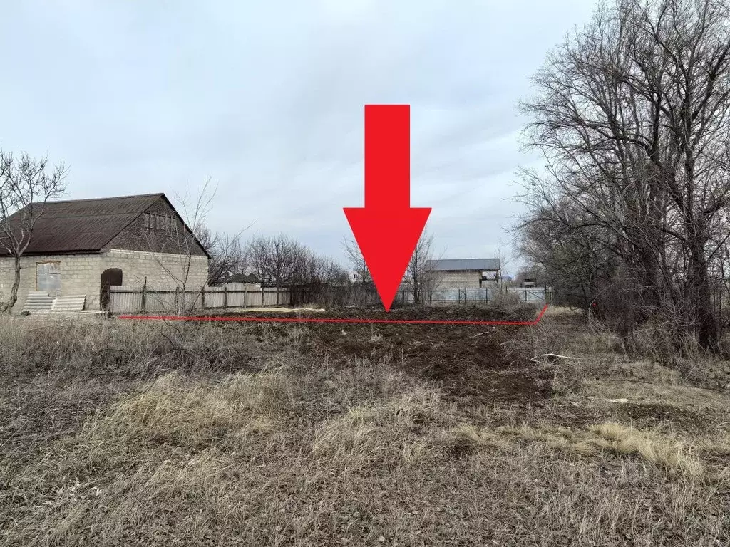 Участок в Волгоградская область, Городищенский район, Новожизненское ... - Фото 0