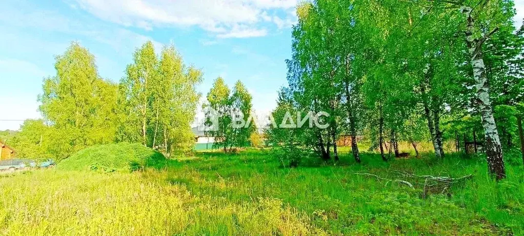 Участок в Калининградская область, Зеленоградский муниципальный округ, ... - Фото 1