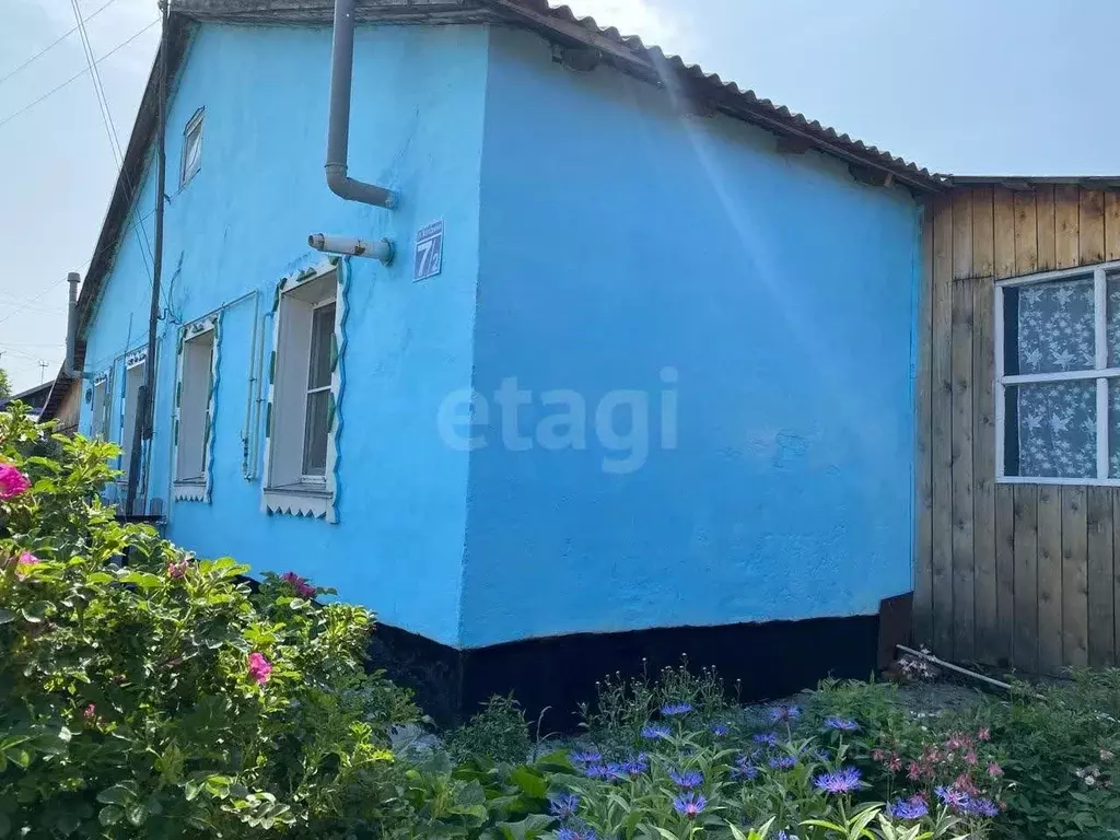 Дом в Новосибирская область, Маслянинский район, с. Пеньково ... - Фото 2