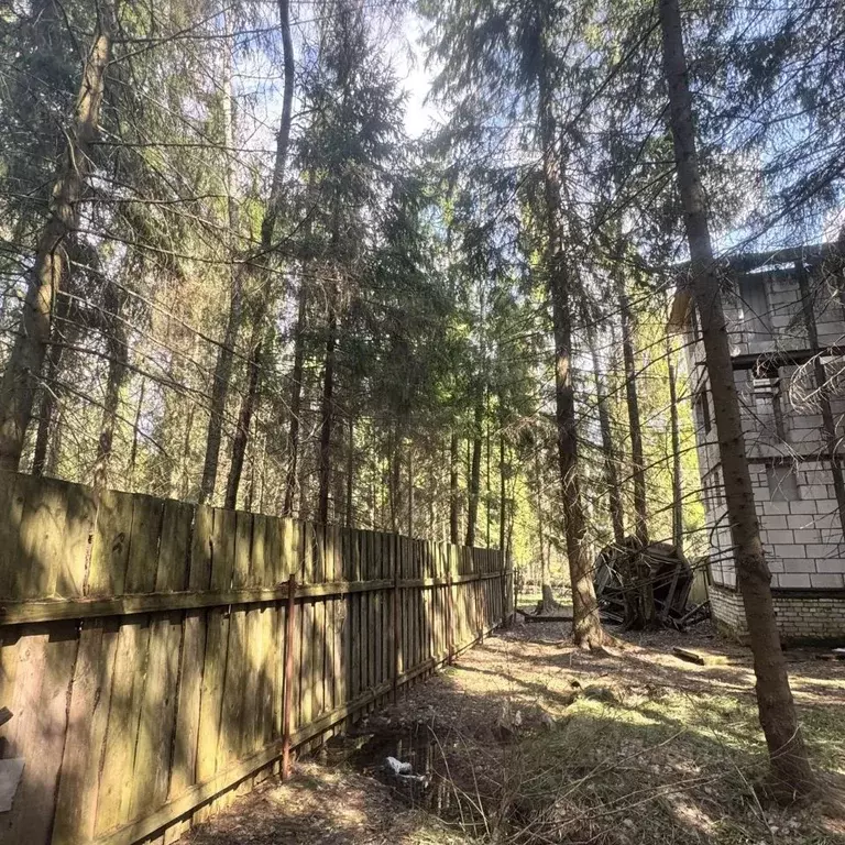 Участок в Московская область, Щелково городской округ, Заозерный СНТ ... - Фото 2