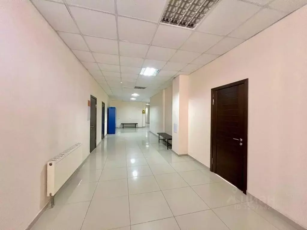 Помещение свободного назначения в Краснодарский край, Анапа ... - Фото 2