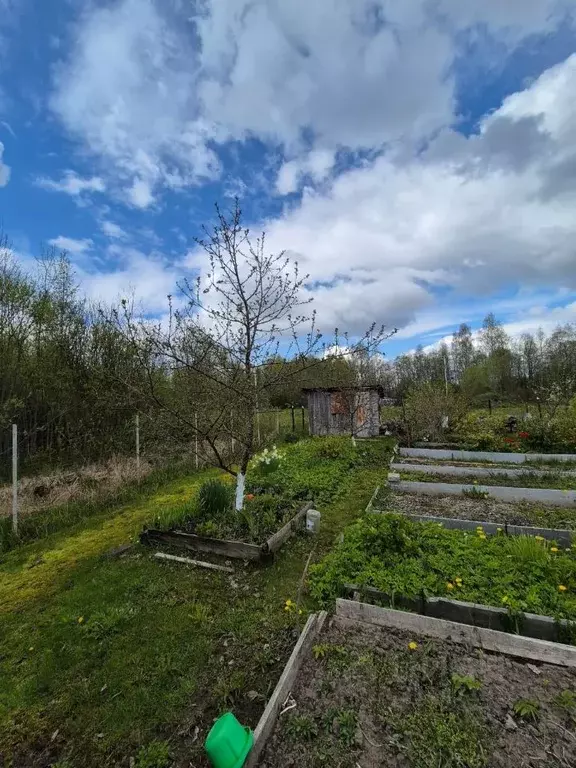 Участок в Новгородская область, Новгородский район, Ермолинское с/пос, ... - Фото 1