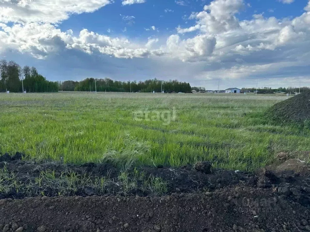 Участок в Тюменская область, Тюменский район, Новокаменский кп  (10.1 ... - Фото 1