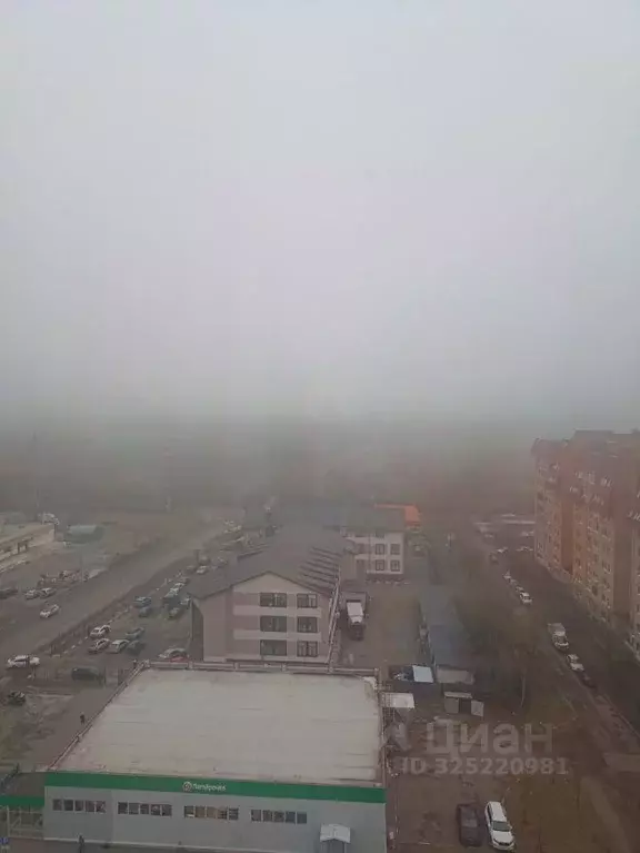 1-к кв. Московская область, Электроугли Богородский городской округ, ... - Фото 2