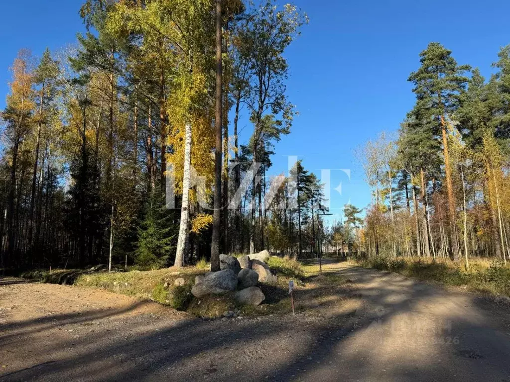 Участок в Ленинградская область, Приозерский район, Петровское с/пос, ... - Фото 0