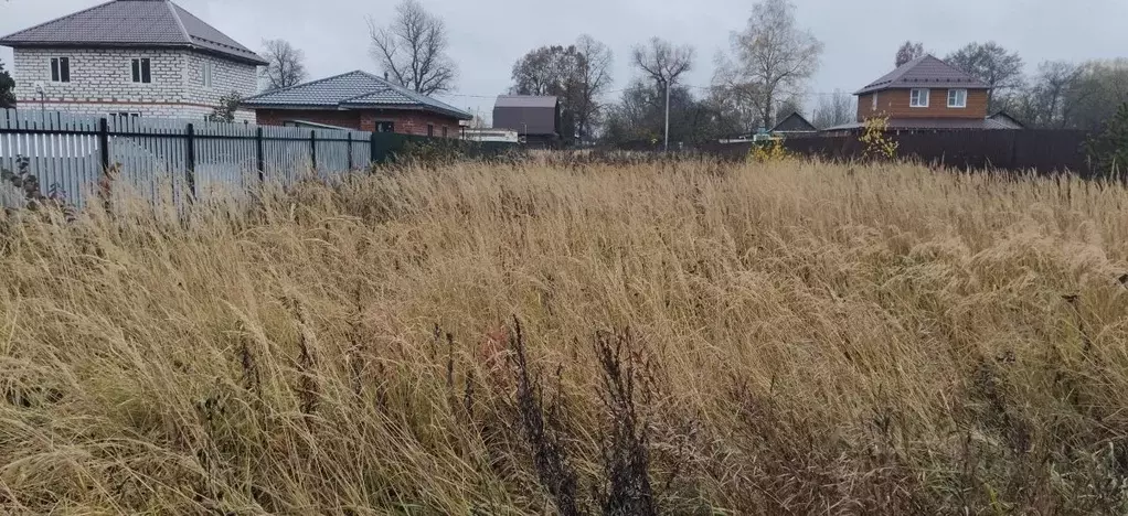 Участок в Московская область, Богородский городской округ, с. ... - Фото 2