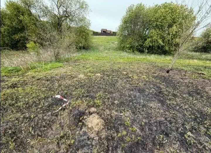 Участок в Тульская область, Тула городской округ, д. Форино  (15.0 ... - Фото 2