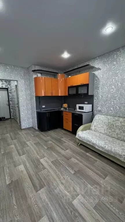 Студия Башкортостан, Уфимский район, с. Михайловка Новоуфимская ул., ... - Фото 1