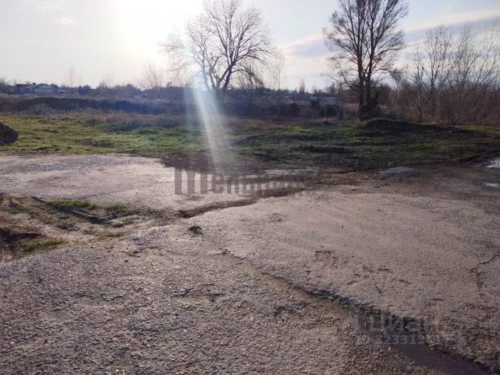 Участок в Волгоградская область, Среднеахтубинский район, Кировское ... - Фото 2
