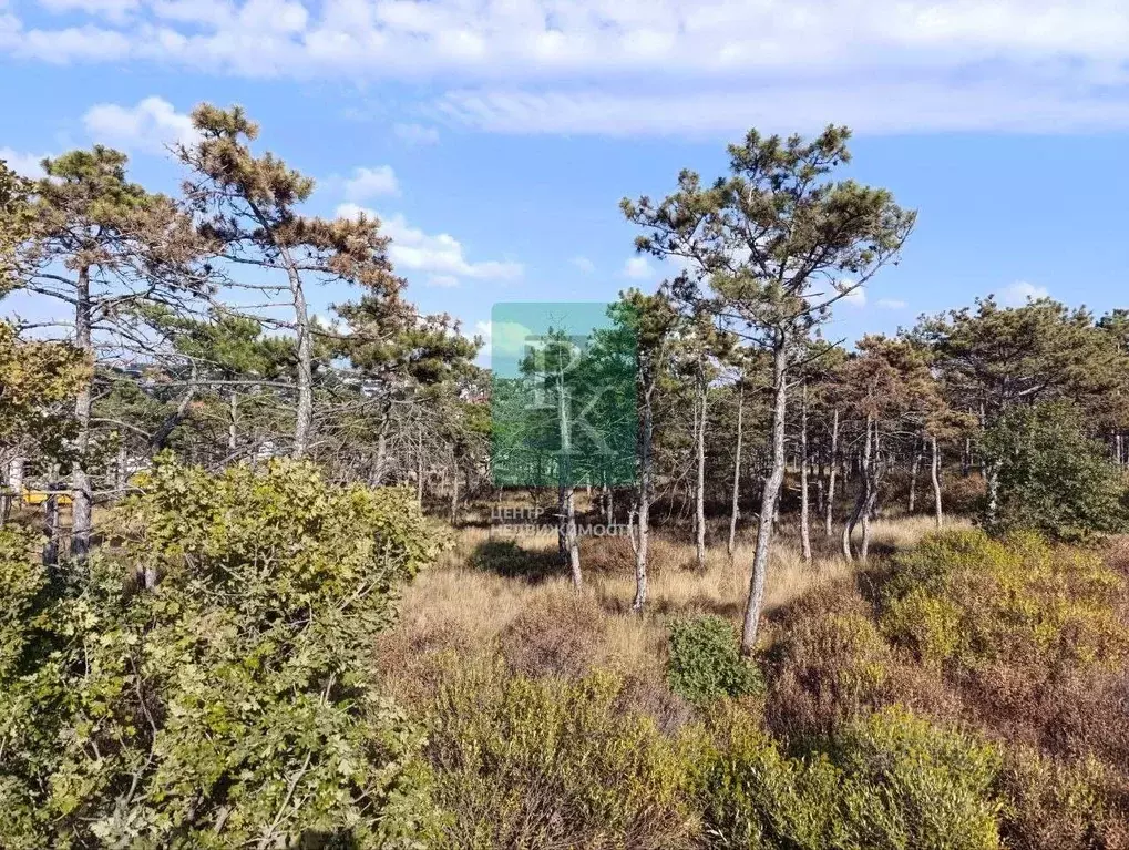 Участок в Севастополь Фиолент мкр,  (9.5 сот.) - Фото 1