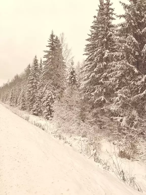 2-к кв. Московская область, Клин городской округ, д. Спасское ул. ... - Фото 2