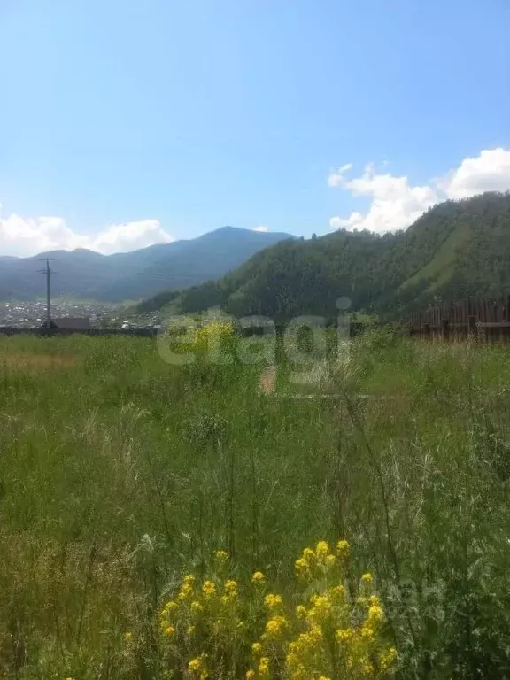 Участок в Алтай, с. Онгудай ул. Дорожная, 21 (12.51 сот.) - Фото 1