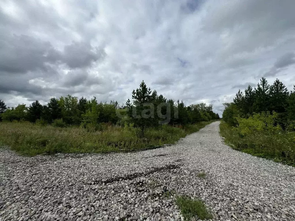 Участок в Свердловская область, Талица пл. Молодежная (12.3 сот.) - Фото 0