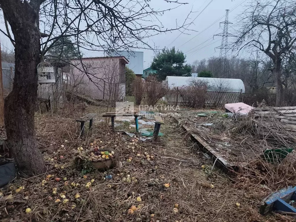 Участок в Московская область, Богородский городской округ, Березка ... - Фото 2