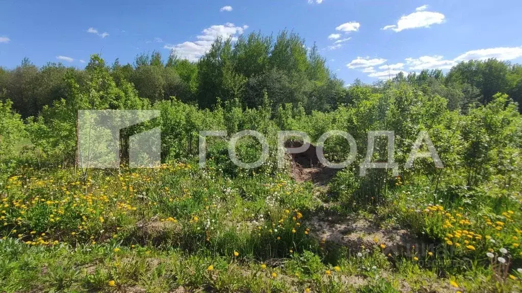 Участок в Московская область, Сергиево-Посадский городской округ, ... - Фото 0