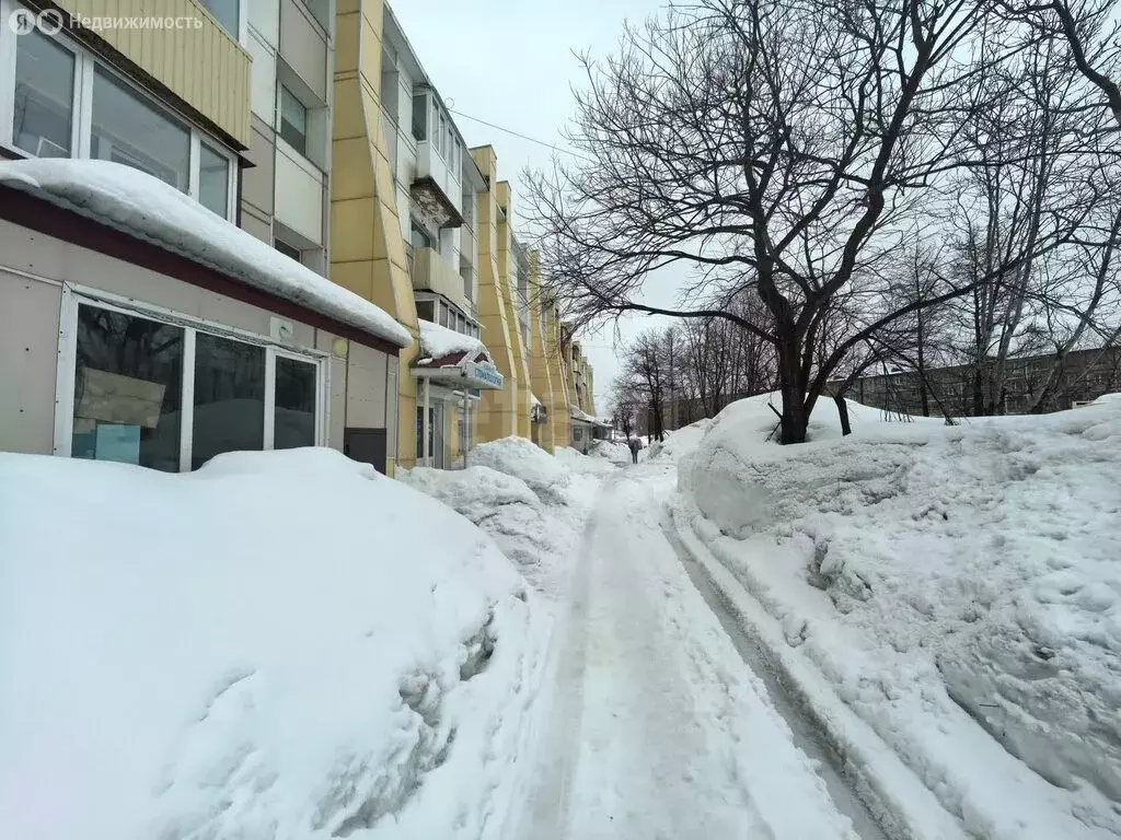 Офис (45.5 м) - Фото 2