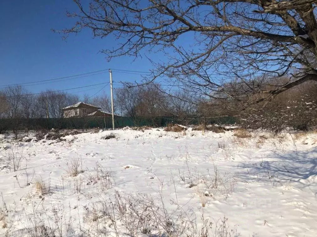 Участок в Приморский край, Надеждинский район, пос. Тавричанка ул. ... - Фото 1