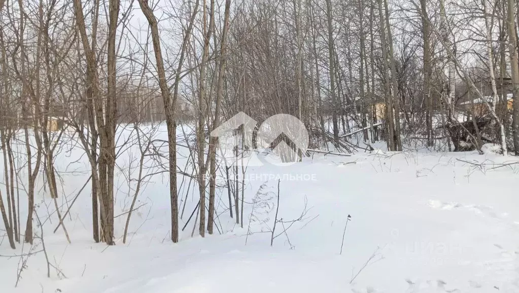 Участок в Новосибирская область, Новосибирский район, Станционный ... - Фото 1