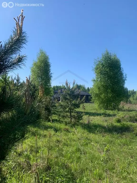 Участок в деревня Ивановское, 4 (8.68 м) - Фото 0
